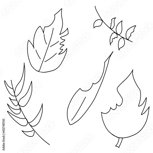 Set of torn leaves