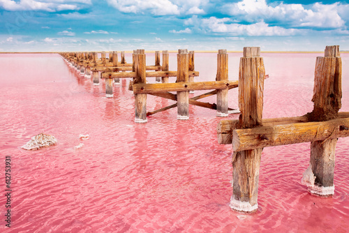 Fototapeta Naklejka Na Ścianę i Meble -  The pink lake is a beautiful landscape, unusual nature. A unique rare natural phenomenon. Salt lake with pink algae. Beautiful landscape.
