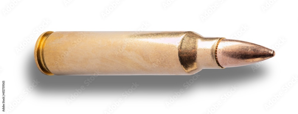 556 mm caliber cartridge for an AR-15 556 mm caliber cartridge for an AR-15