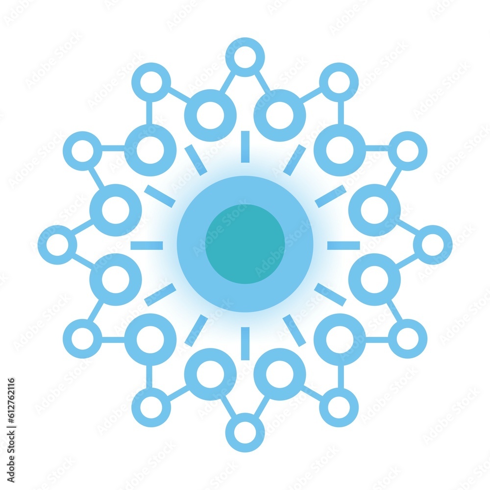 network connection