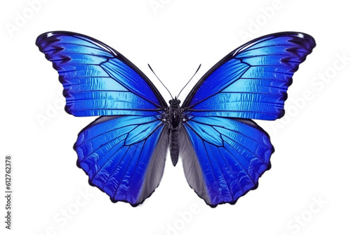 Beautiful and Rare Butterfly on a Transparent Background. Generative AI © Haider