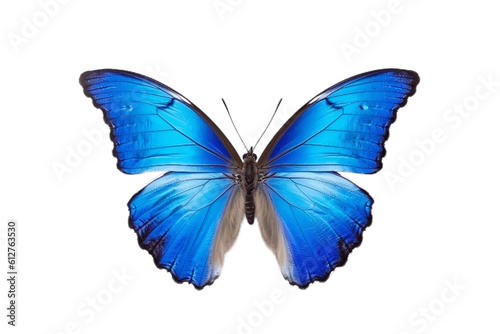 Butterfly Isolated on a Transparent Background. Generative AI