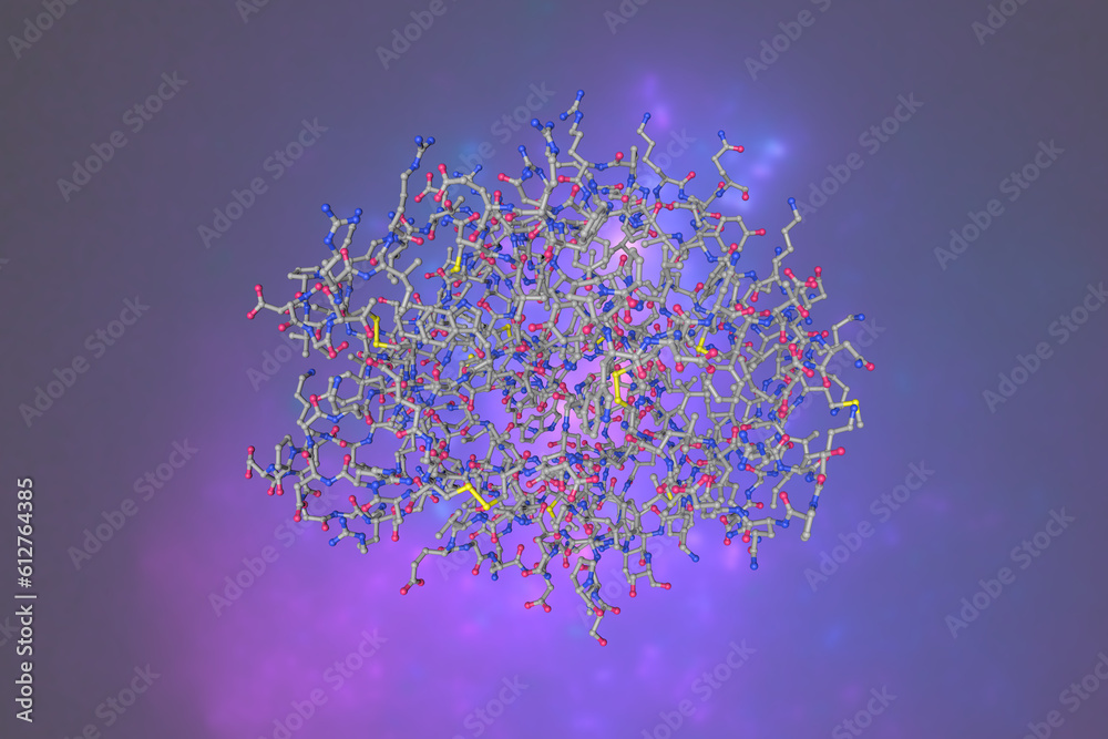 Crystallographic structure of human gamma-thrombin. Molecular model. Rendering based on protein data bank entry 2nht. Scientific background. 3d illustration