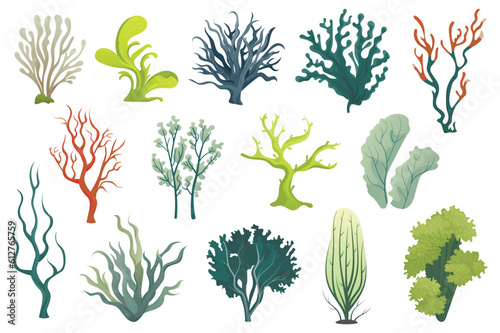 Algae set. This illustration set features flat, cartoon-style designs of various types of algae. Vector illustration.