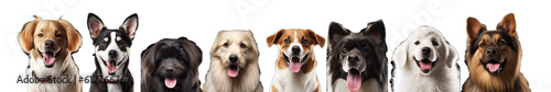 Set Puppies Isolated White Background Happy Dogs Background Decoration