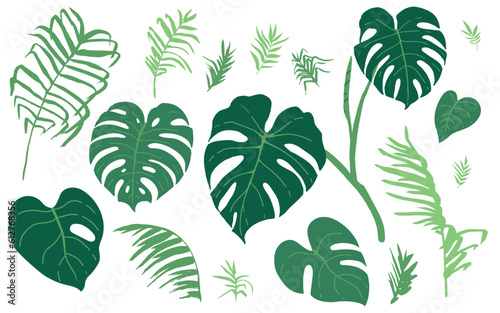 Set of monstera leaves and palm tree leaves. Isolated elements on the neutral background. © Anastasia Albrecht