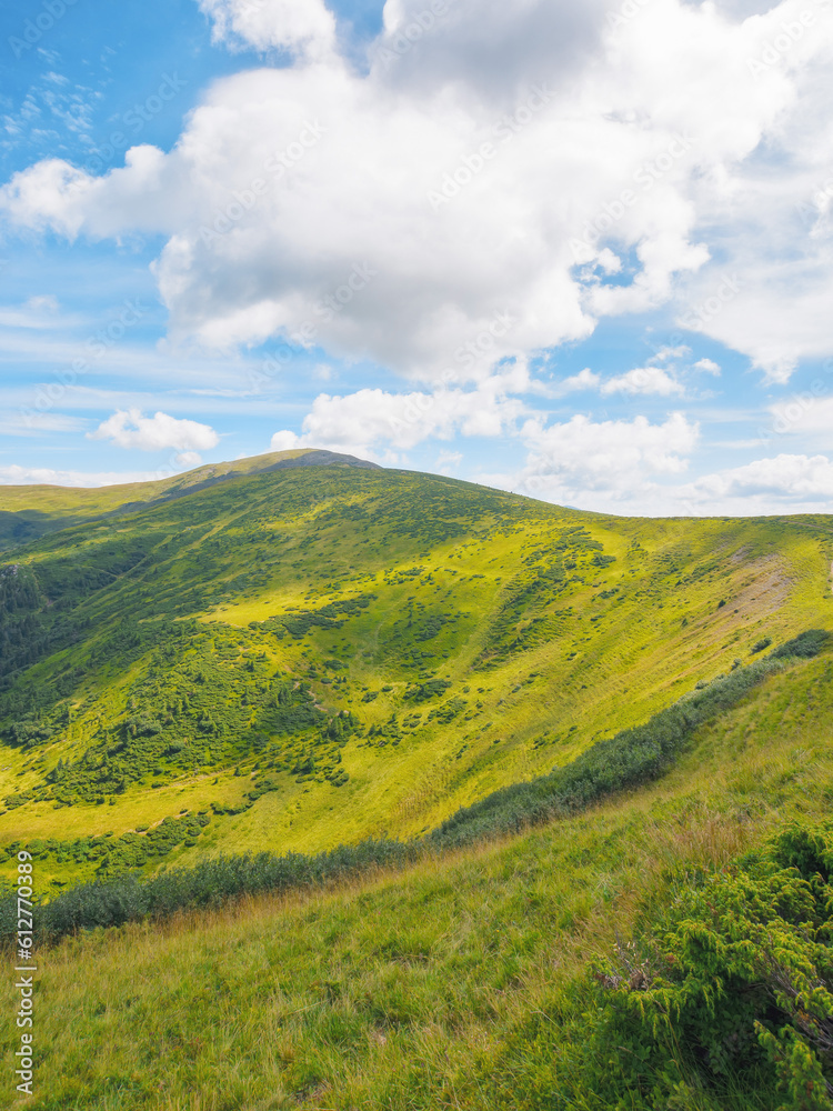 green mountain landscape. popular travel destination of ukraine. warm summer forenoon