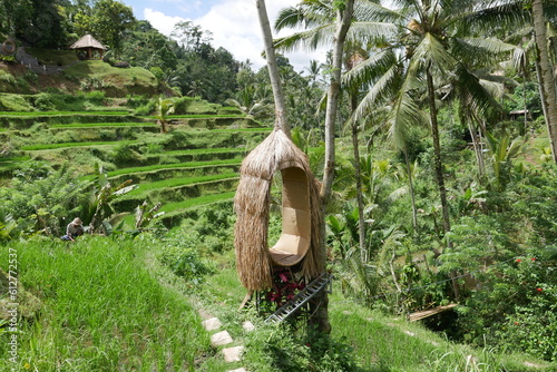 Sitz an Reisterrassen auf Bali photo