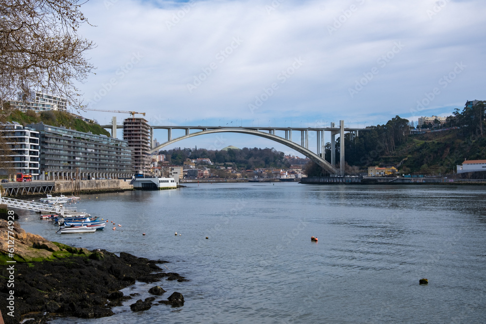 Obraz premium Explora la esencia de Oporto: sus callejones empedrados, icónicos puentes y emblemáticos azulejos. Una ciudad que te robará el corazón.