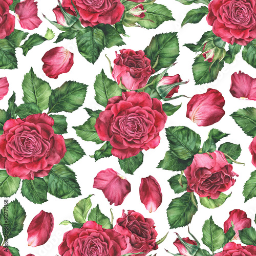 Seamless pattern with pink roses. Watercolor botanical illustration. Isolated on a white background. Hand drawn flower  leaves and petals. For the design of women s clothing  bed linen  fabrics