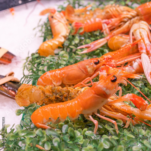 Norway lobster with roe on green Grass