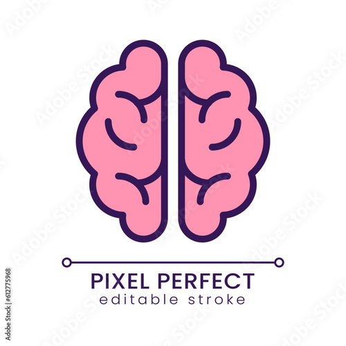 Human brain pixel perfect RGB color icon. Central nervous system. Memory and thinking control organ. Isolated vector illustration. Simple filled line drawing. Editable stroke. Poppins font used