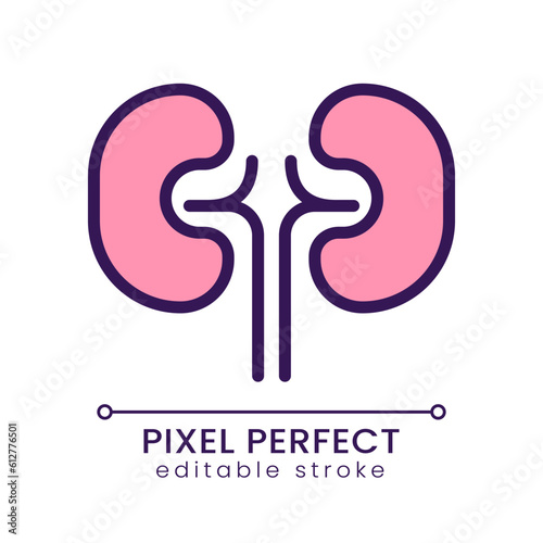 Kidneys pixel perfect RGB color icon. Urinary system checkup. Organ transplantation. Human body inner part. Isolated vector illustration. Simple filled line drawing. Editable stroke. Poppins font used