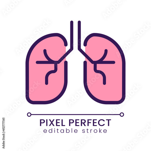 Human lungs pixel perfect RGB color icon. Respiratory system checkup. Pulmonary tests. Medical checkup. Isolated vector illustration. Simple filled line drawing. Editable stroke. Poppins font used