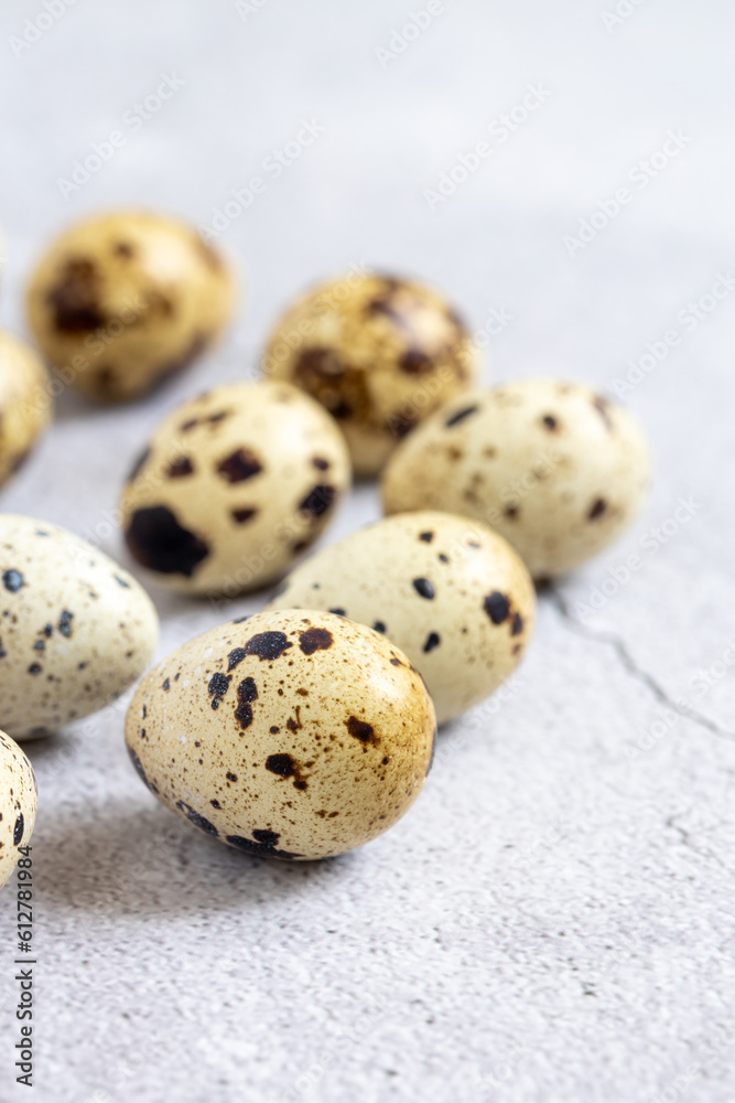 Easter quail eggs.  Spring background with small easter quail eggs. Vintage photo processing