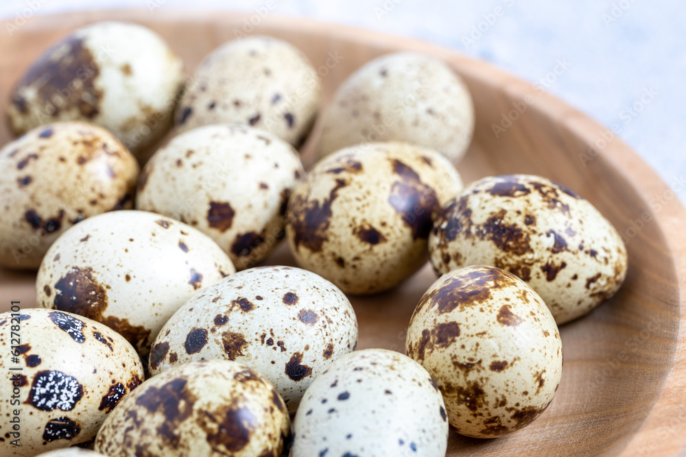 Easter quail eggs. Spring background with small easter quail eggs. Vintage photo processing Easter quail eggs. Spring background with small easter quail eggs. Vintage photo processing