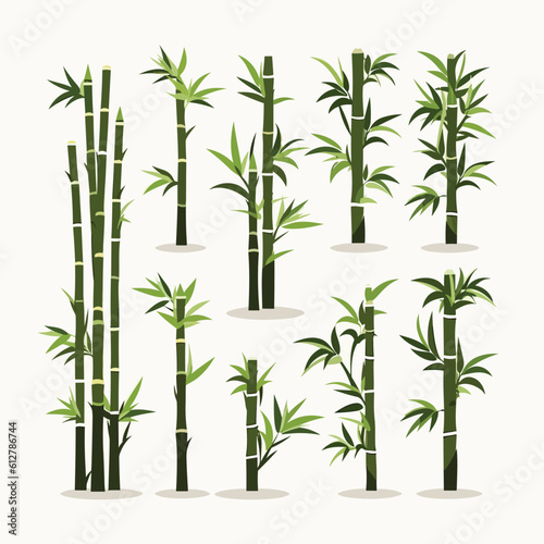 Bamboo vector set isolated on white