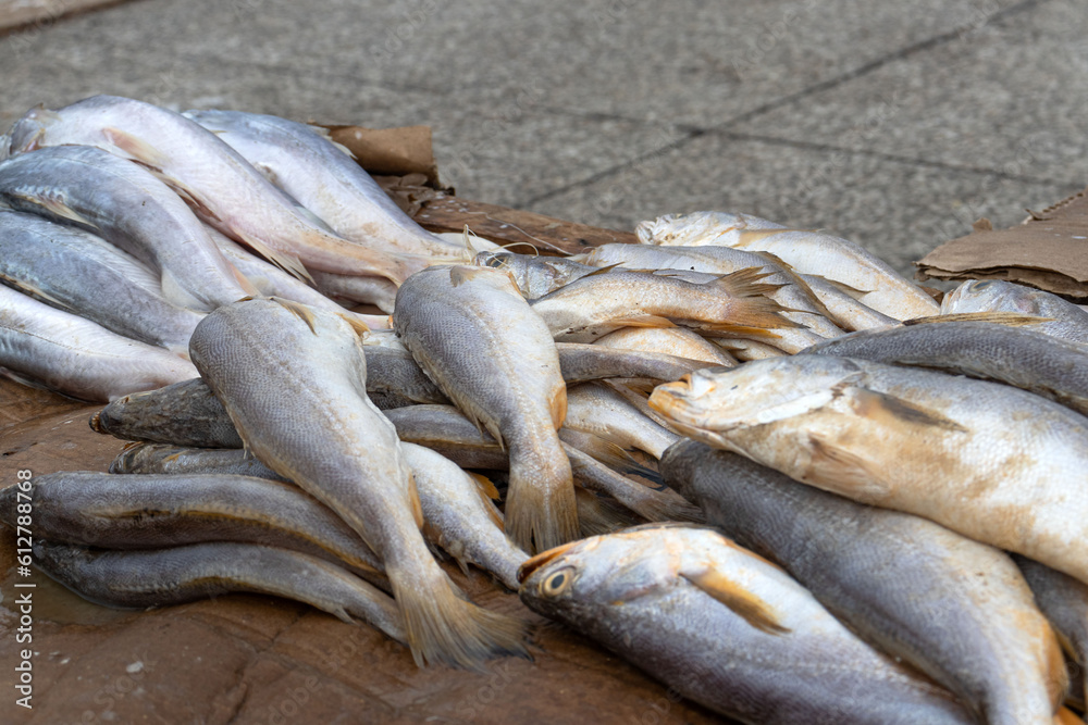 Fototapeta premium Fresh fish for sale in the city of Belém do Pará, in the northern Amazon of Brazil, is the river market called Ver-o-Peso (check-the-Weight)