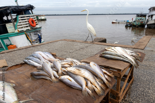 Fresh fish for sale in the city of Belém do Pará, in the northern Amazon of Brazil, is the river market called Ver-o-Peso (check-the-Weight) photo