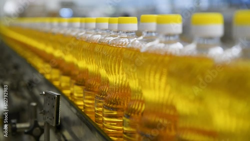 Sunflower oil in the bottle moving on production line. Sunflower oil production factory