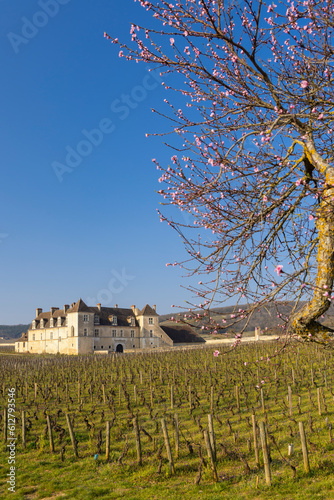 Clos de Vougeot castle, Cote de Nuits, Burgundy, France photo