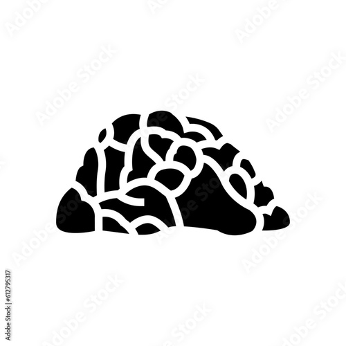 clothing shelter human evolution glyph icon vector. clothing shelter human evolution sign. isolated symbol illustration
