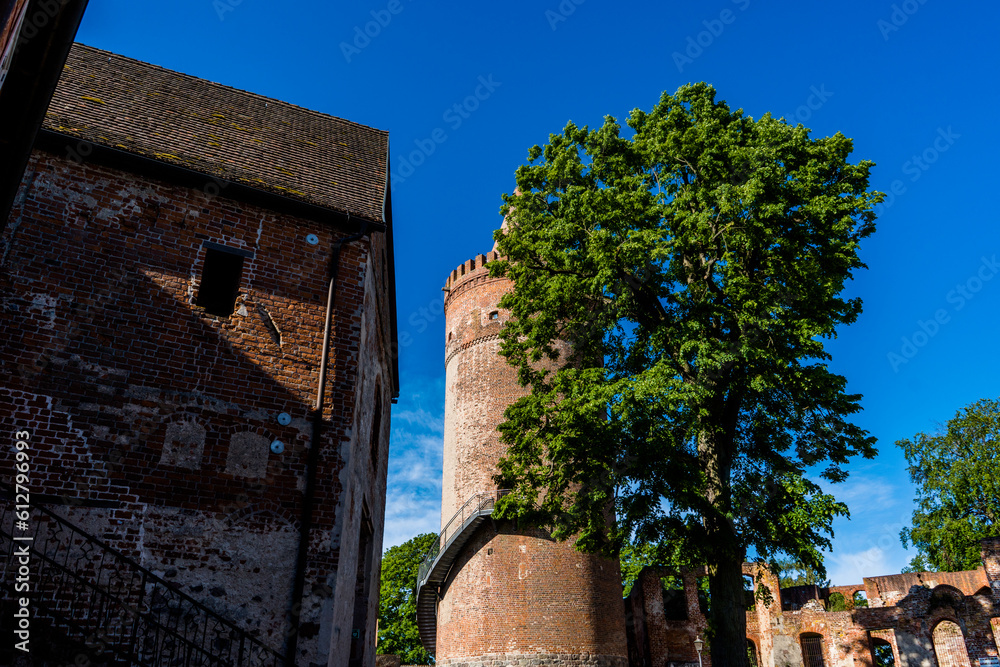 Fototapeta premium Burg Stargard: Ein architektonisches Juwel inmitten der Natur