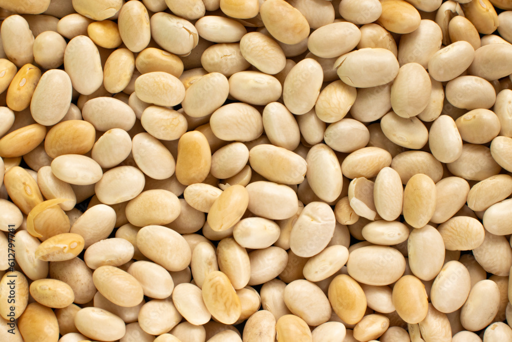 Macro shot of beans isolate on a background. Top view of food - beans texture Macro shot of beans isolate on a background. Top view of food - beans texture