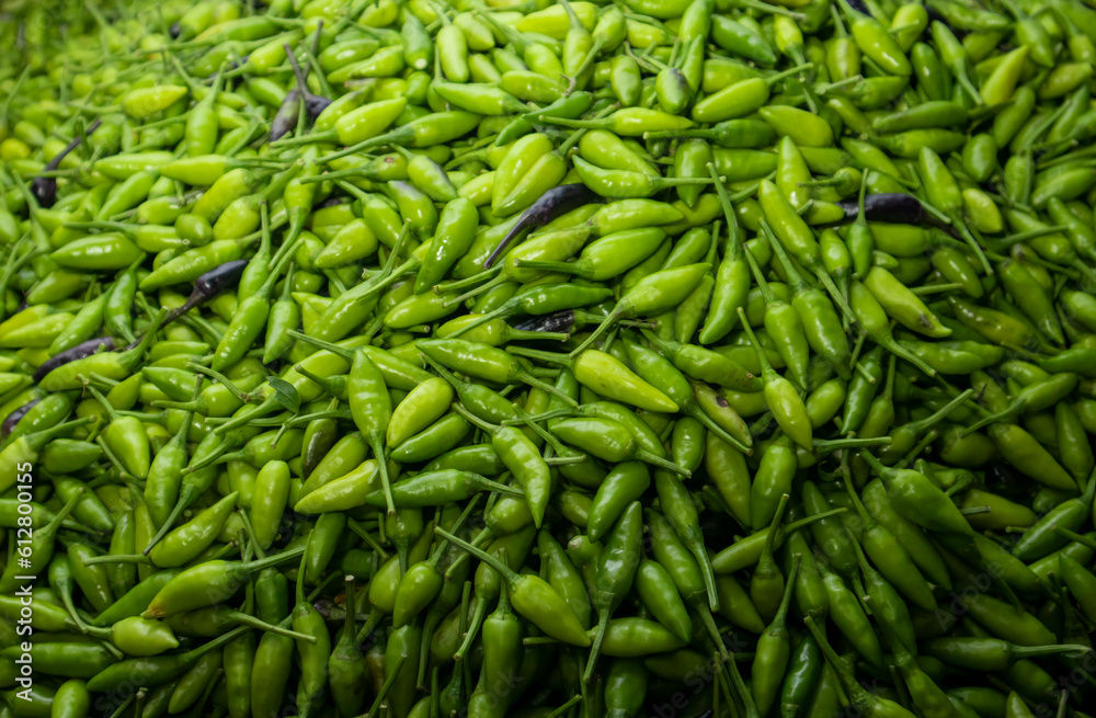 Abundant Green Chili Stack: A Spicy Delight Abundant Green Chili Stack: A Spicy Delight