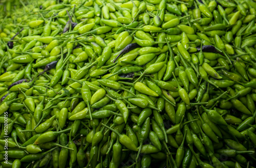 Abundant Green Chili Stack: A Spicy Delight © Sushanta