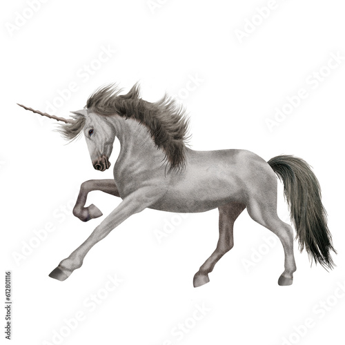 cheval    talon  illustration  ferme  brun  noir  gris  blanc  tach    fauve  licorne  poney  amoureux des chevaux  mammif  re  crin  galop  silhouette  mustang  dessin  course  animal  isol    noir  dess