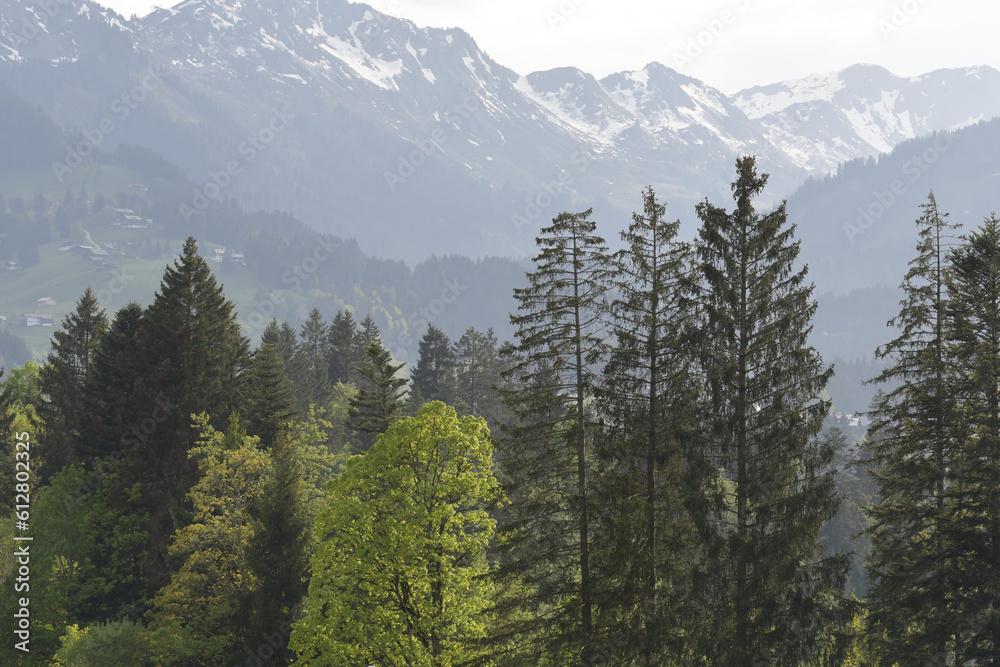 kleinwalsertal kleinwalsertal