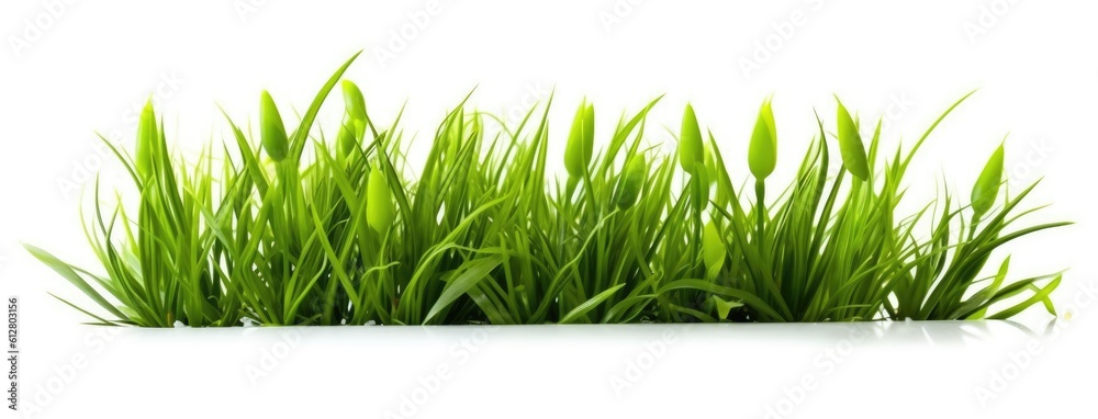 Green grass with white background. Generative AI Green grass with white background. Generative AI