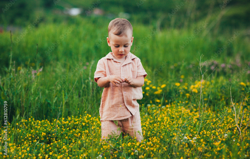 little baby playing in a field with wildflowers little baby playing in a field with wildflowers