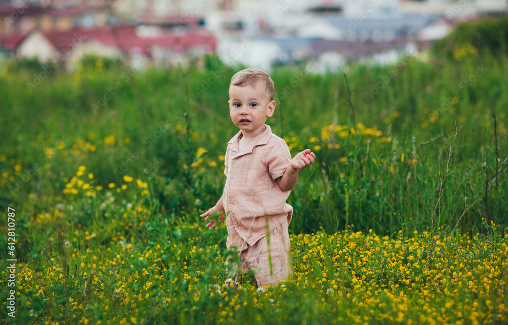 little baby playing in a field with wildflowers little baby playing in a field with wildflowers