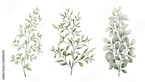 Set of watercolor botanical small leaves elements © Artnizu