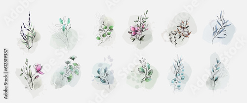 Set of luxury green leaves and flowers elements in watercolor and ink style. Aquarelle and line branches and blooming. Vector isolated on white background for Invitation, greeting card