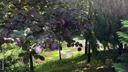 View of river in Belmontas park in Vilnius in summer photo