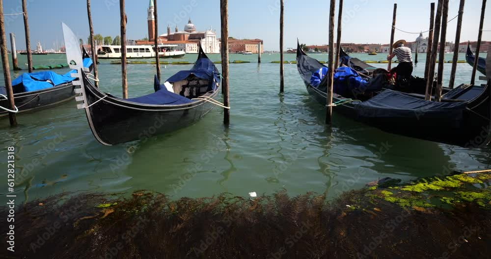 Gondolas moored with palines at the waterfront at the Riva degli Schiavoni, in Venice, Italy. Gondolas moored with palines at the waterfront at the Riva degli Schiavoni, in Venice, Italy.