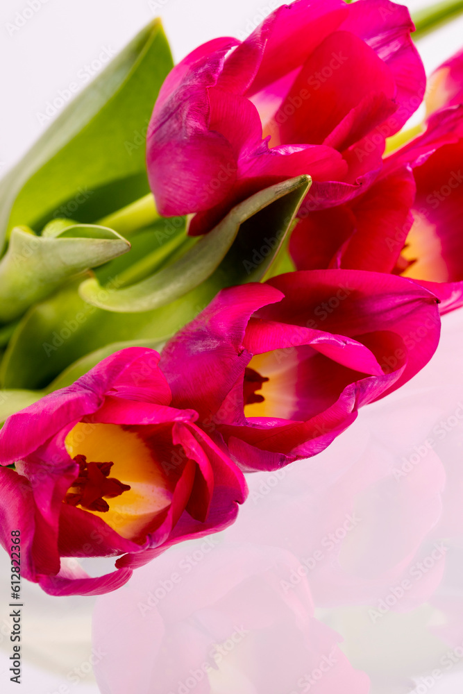 Bouquet of red tulips close-up on reflective surface, copy space Bouquet of red tulips close-up on reflective surface, copy space