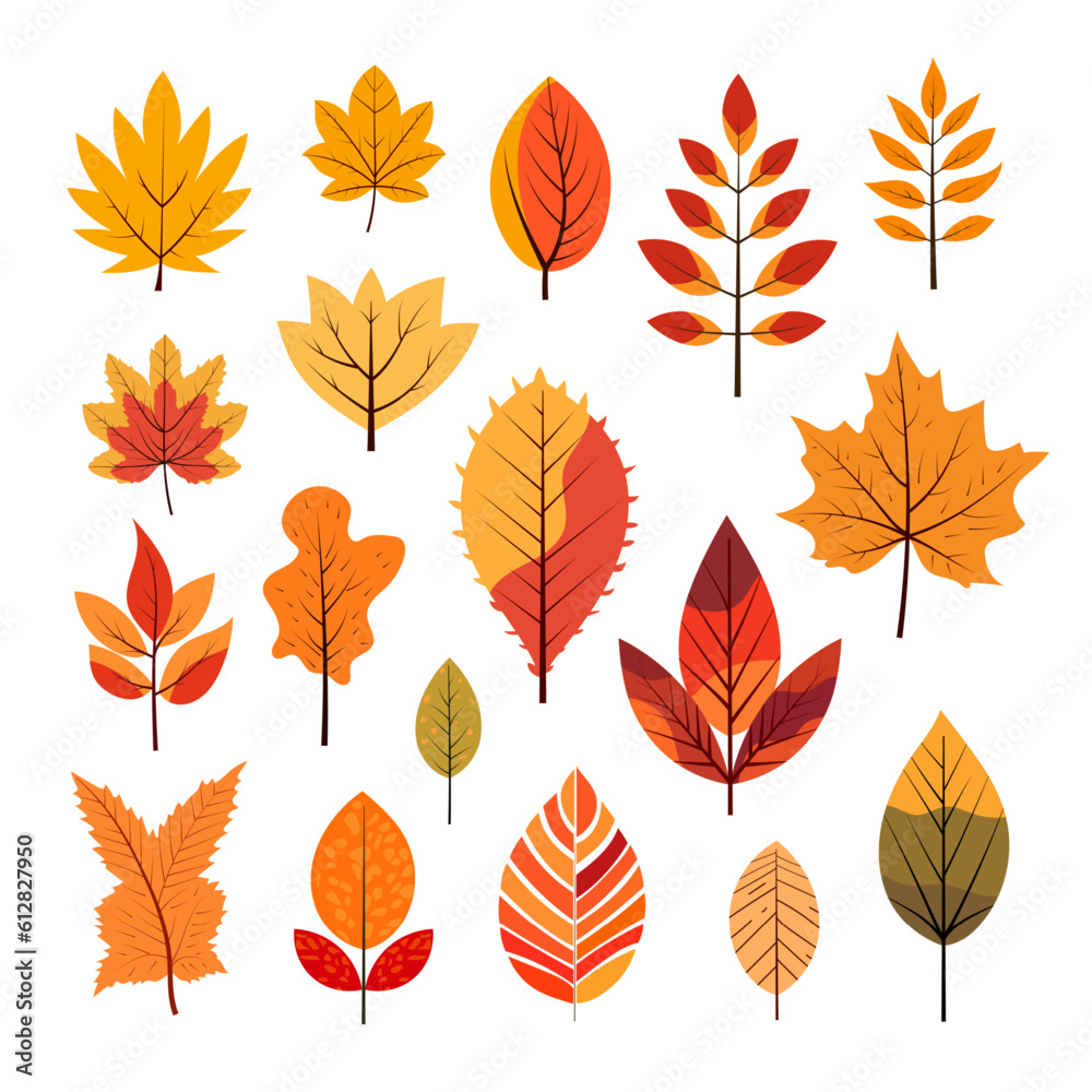 Vector autumn leaf, linear orange, yellow leaves, illustration of fashionable decor for presentation. Set