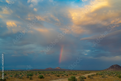 Radiant Oasis: A Desert's Rainbow Revelation