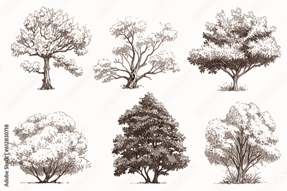 Naklejka premium tree sketches, silhouette tree vector element