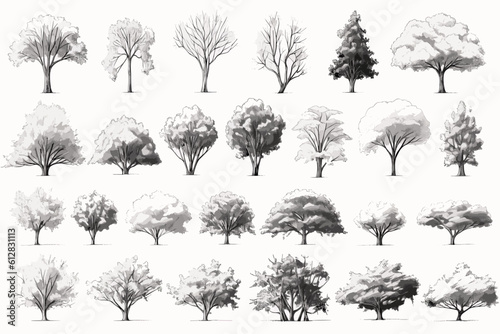 tree sketches  silhouette tree vector element