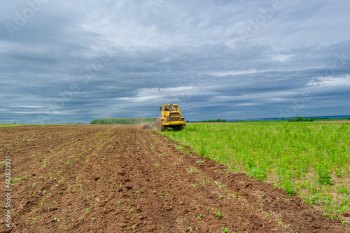 Spring photography, landscape with agricultural machinery, a tractor plows the land, plows a field, birds fly over arable land