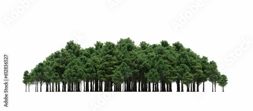 group of trees isolated on a white background  big trees in the forest  3D illustration  cg render 