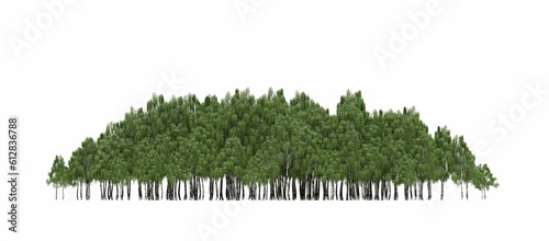 group of trees isolated on a white background, big trees in the forest, 3D illustration, cg render 