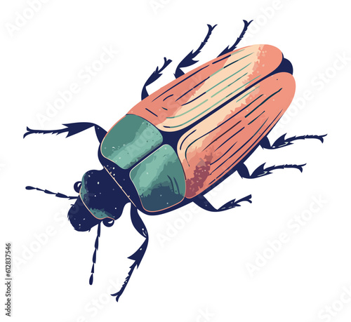 Small insect nature arthropod design