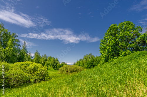 Spring photography, landscape with a cloudy sky. water meadows, floodplains, ravines. an area of ​​low-lying ground adjacent to a river, formed mainly of river sediments and subject to flooding.