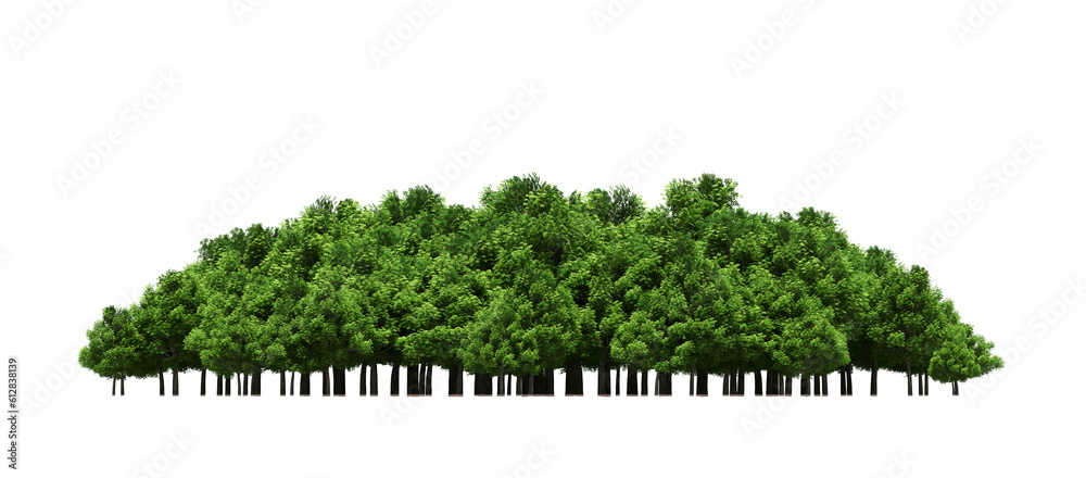 group of trees isolated on a transparent background, big trees in the ...
